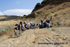 Visita guidata al Geosito Cava di Duidduru