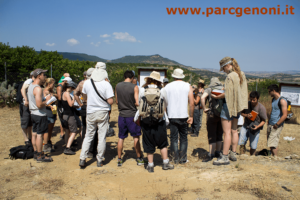 Visita guidata al Geosito Cava di Duidduru